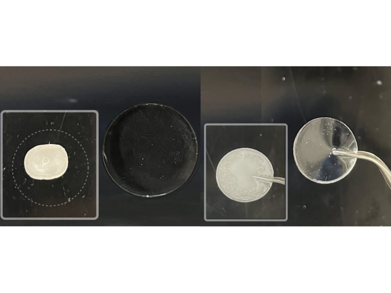 Penn State's Eel-Inspired Gel Battery Works at -112°F