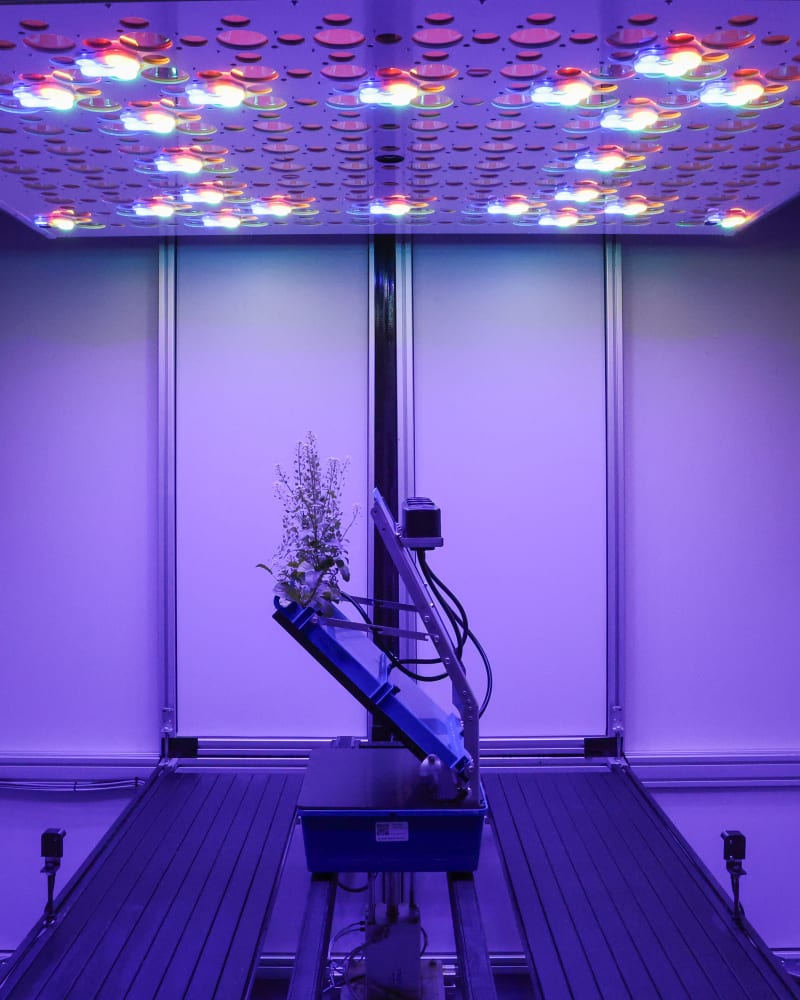 Robot Platform Sees Plant Roots Grow in Real Time