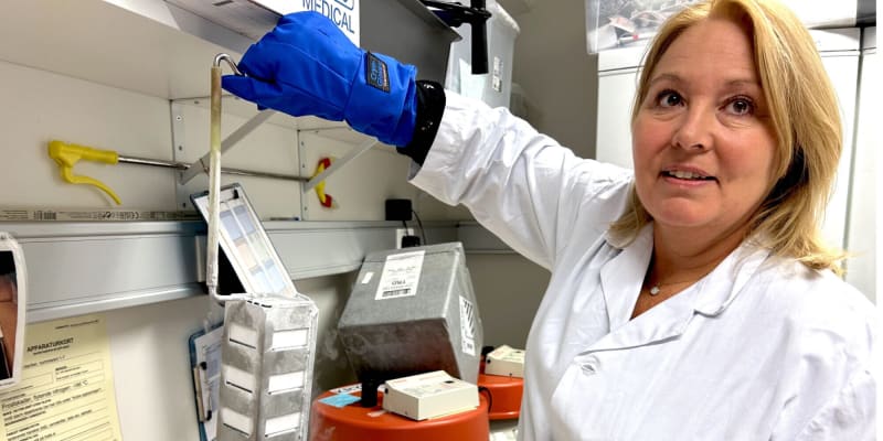 Medical professional reviewing prostate MRI scan with AI assistance on computer screen