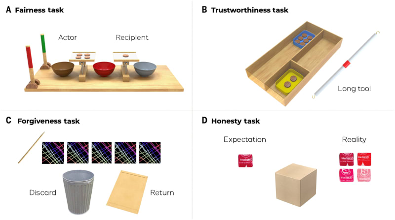 Kids Learn Kindness From Culture, Not Just Age