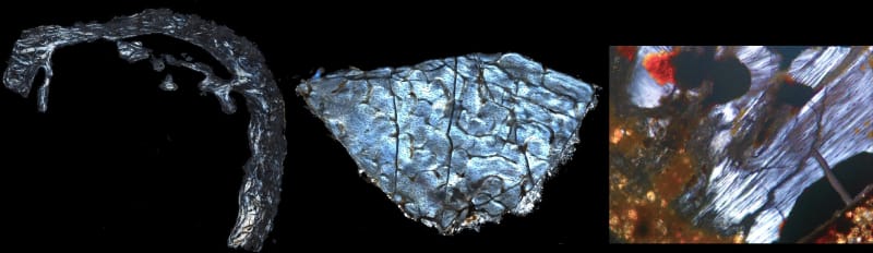 Ancient fossil bone specimens used in paleometabolomics research to extract million-year-old metabolites