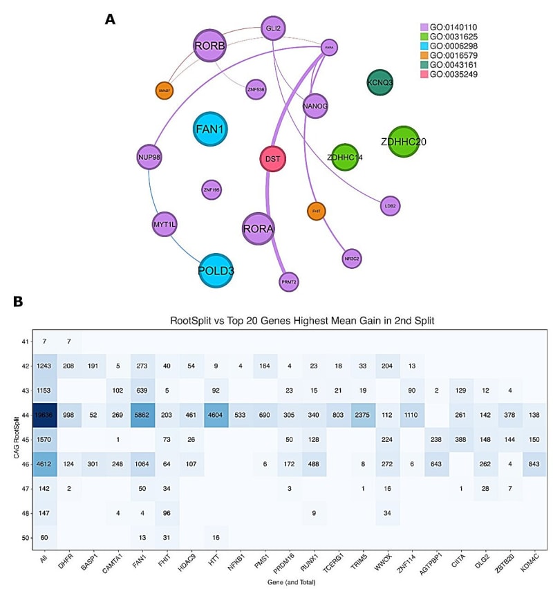 Scientist examining colorful genetic data visualization on computer screen showing neural network analysis