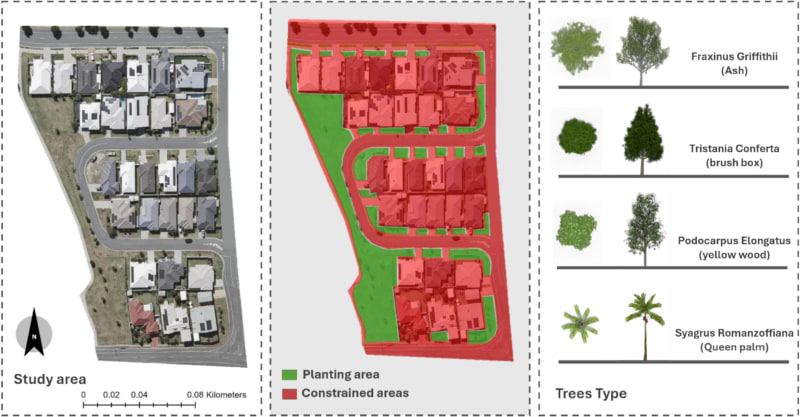 AI Tool Cools City Streets by 3.5°C With Smart Trees