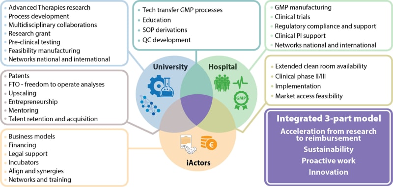 Lund's New Model Speeds Life-Saving Gene Therapies