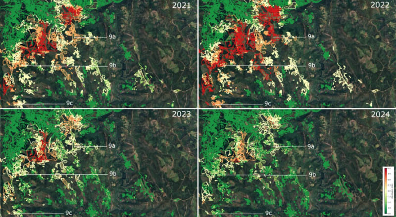 Spanish Satellite System Predicts Farm Vole Outbreaks Early