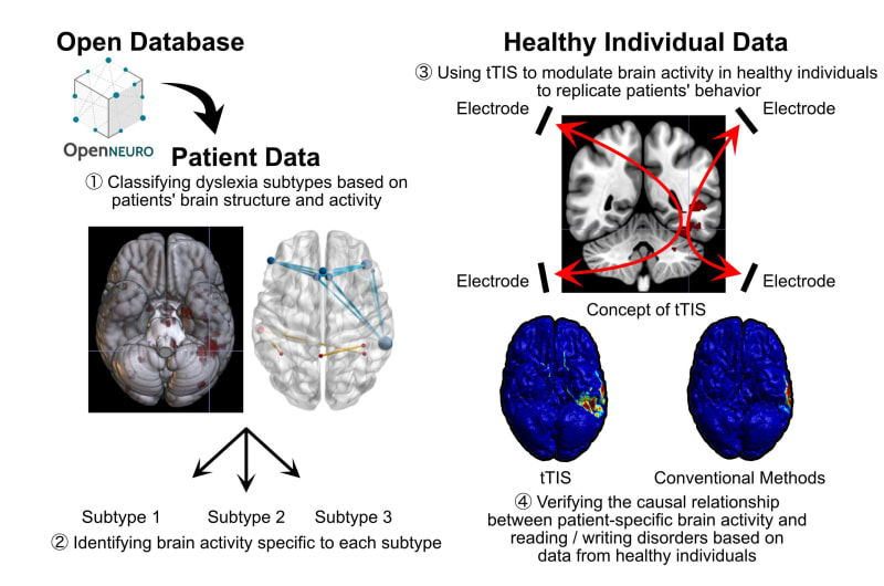 Breakthrough Research Brings Hope for Personalized Dyslexia Support