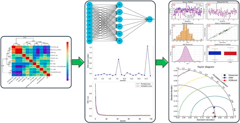 Scientists working with AI technology to convert wastewater into clean green hydrogen fuel