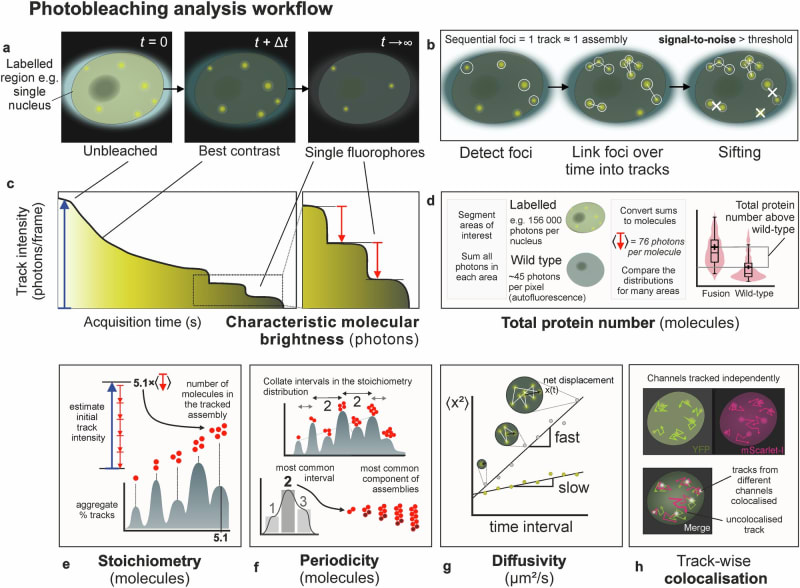 Plants Store 'Winter Memory' in Tiny Molecular Clusters