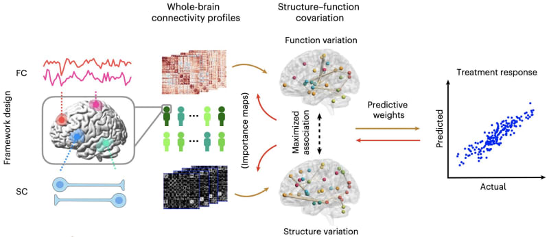 AI Predicts Best Depression Meds, Ending Trial and Error