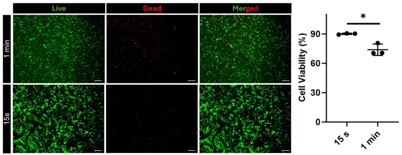 Light-Activated Gel Heals Wounds Like Natural Tissue