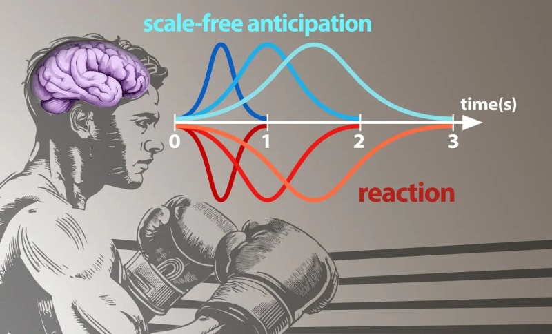 Your Brain's Incredible Superpower: How It Predicts The Future In 3 Seconds