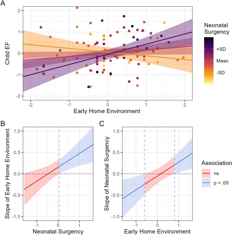 Researcher Professor Andrea Berger from Ben-Gurion University who led the groundbreaking ADHD study