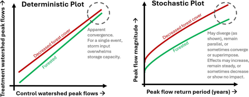 Forests Reduce Major Flood Risk More Than We Thought