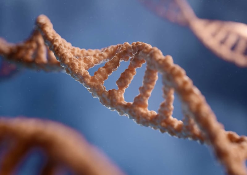 Your Genes Control 55% of Your Lifespan, Study Finds - Image 3