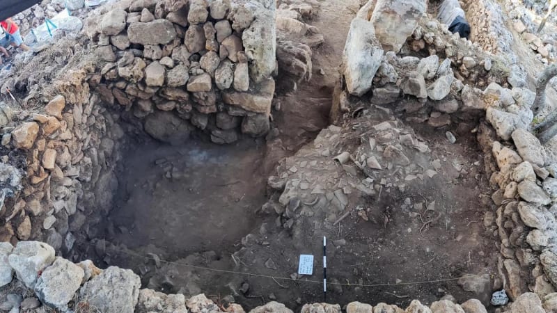 Shea Butter Removes Forever Chemicals From Water - Image 3