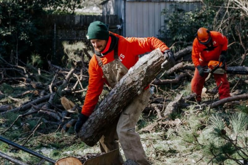 Volunteers Clear Ice Storm Damage for Louisiana Homeowner - Image 4