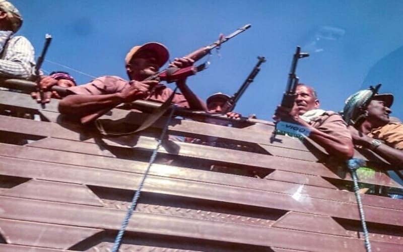 Israeli Scientists Link Gut Bacteria to HIV Immunity - Image 5