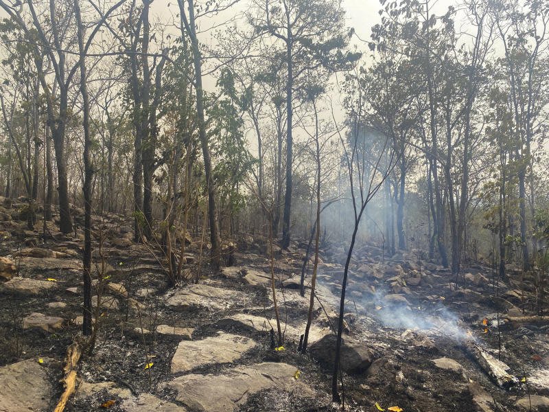 Thailand Cracks Down on Illegal Burning to Save Clear Skies - Image 2