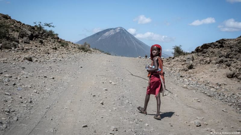 Conservation or Displacement? The Complex Story of Tanzania's Game Reserves