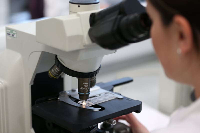 German Scientists Find Way to Expose Hidden Pancreatic Tumors - Image 3