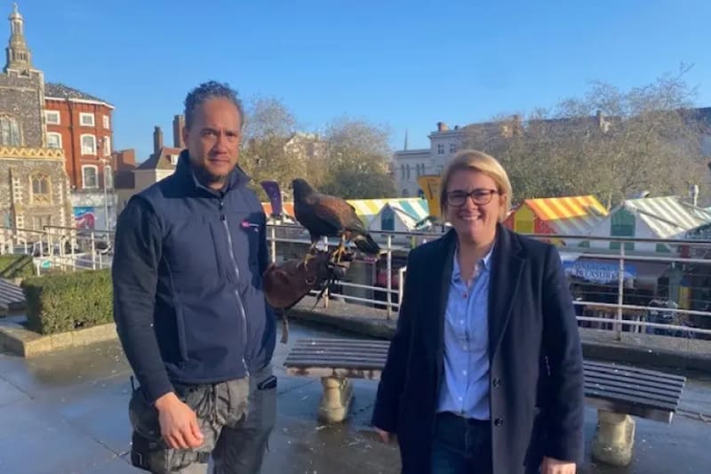 Norwich Tests Pigeon Birth Control That Worked in Brussels - Image 4