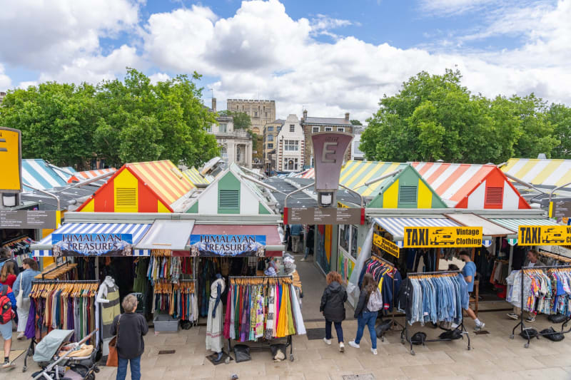 Norwich Tests Pigeon Birth Control That Worked in Brussels - Image 3