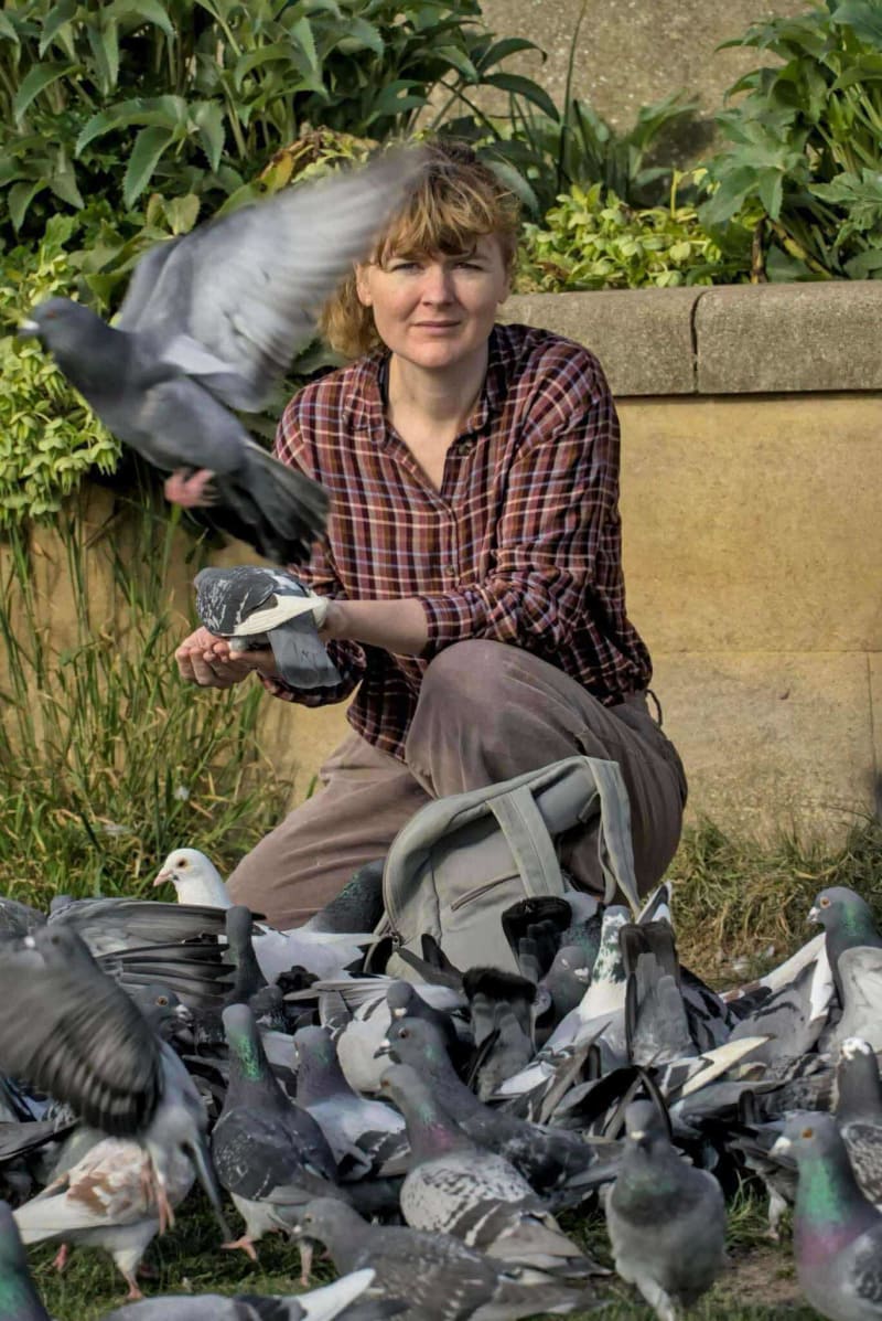 Norwich Tests Pigeon Birth Control That Worked in Brussels - Image 2