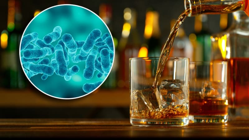 Scientists Find Cure for Gut Condition That Makes You Drunk