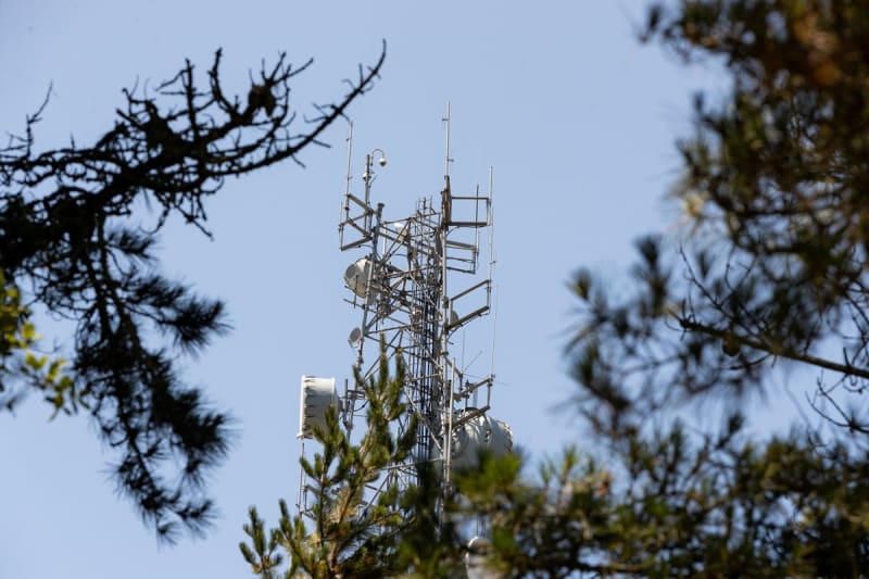 AI Cameras Cut Wildfire Response Time by 25 Minutes