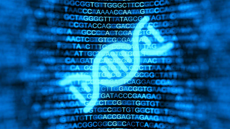 AI Cracks Code of DNA's Hidden 98% to Fight Disease