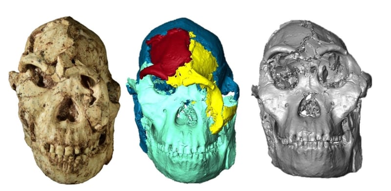 Scientists Reveal Face of 3.67-Million-Year-Old Ancestor