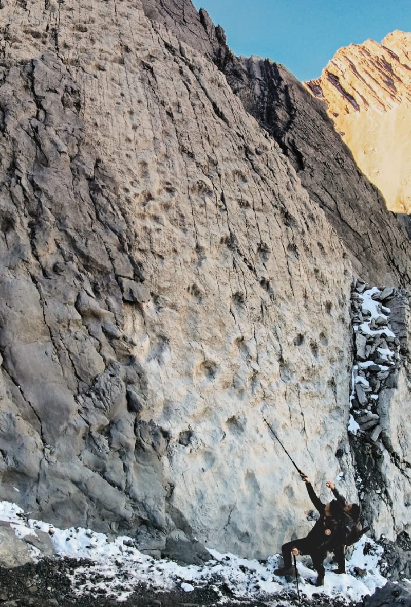 Photographer Finds 210-Million-Year-Old Dinosaur Tracks - Image 3