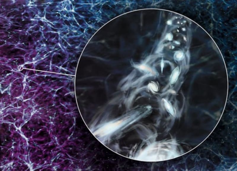 Artist Teaches AI About Care, Not Just Data - Image 5