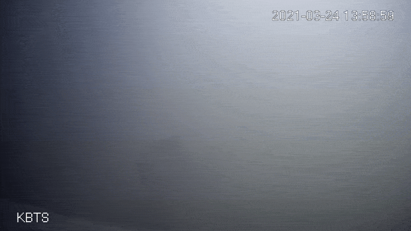 Dutch Fish Doorbell Lets 2.3M People Help Migrating Fish - Image 3