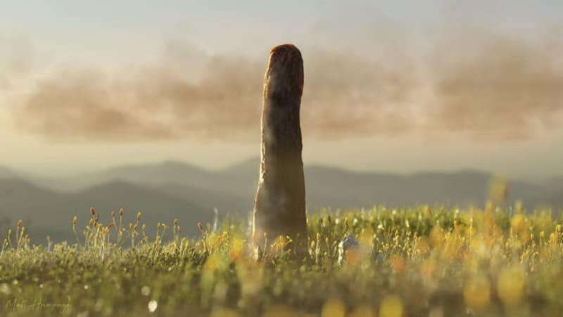 Ancient Tower Fossils May Be 7th Kingdom of Life - Image 2