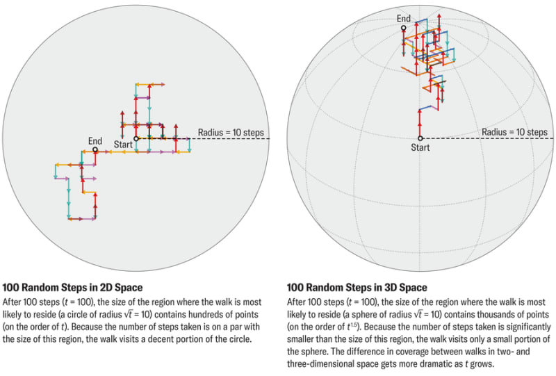 Mathematician Proves Random Walks to Clear His Name - Image 3