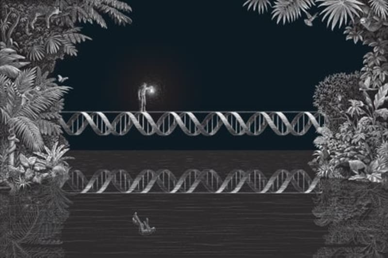 ISS Medical Emergency Shows Crew Ready for Deep Space - Image 4