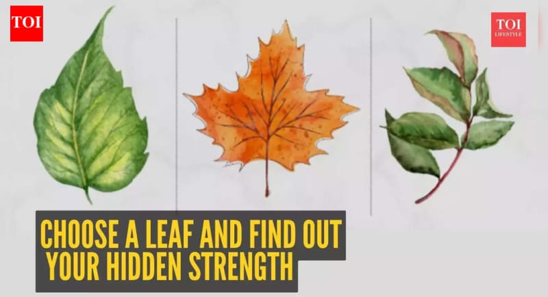 Three different types of leaves displayed together - fresh green leaf, autumn leaf, and clustered leaves for personality quiz