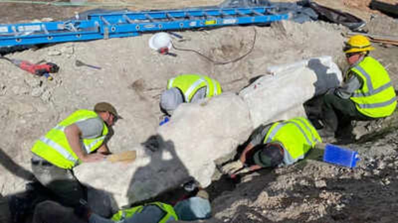 Colorado Parking Lot Reveals First Dinosaur Find in 100 Years - Image 3