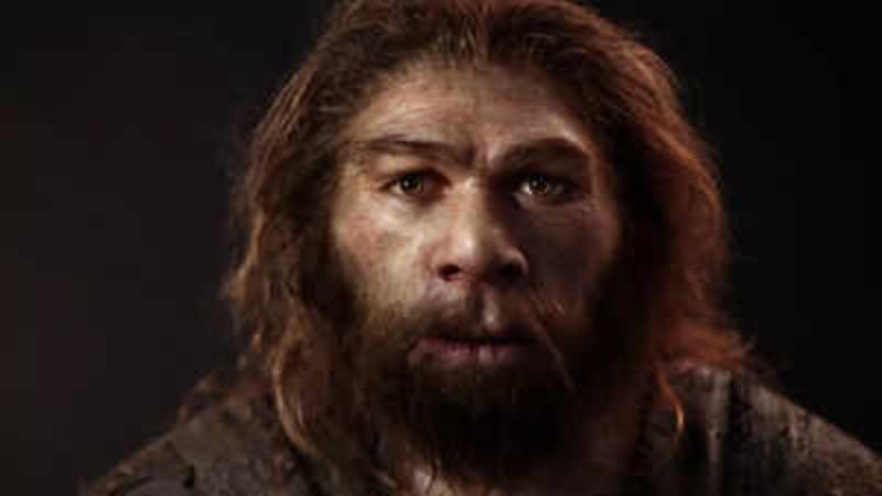 Ancient DNA Shows Neanderthals and Humans Built Families - Image 2