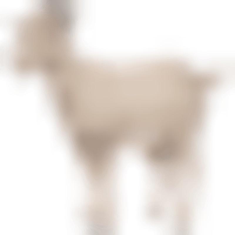 Mikaela Shiffrin Wins Olympic Gold in Final Slalom Race