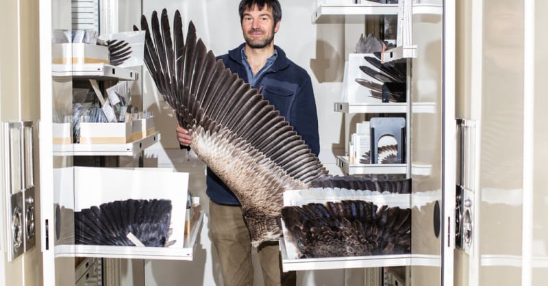 Tiny 'Super Feather' Could Revolutionize Drone Technology