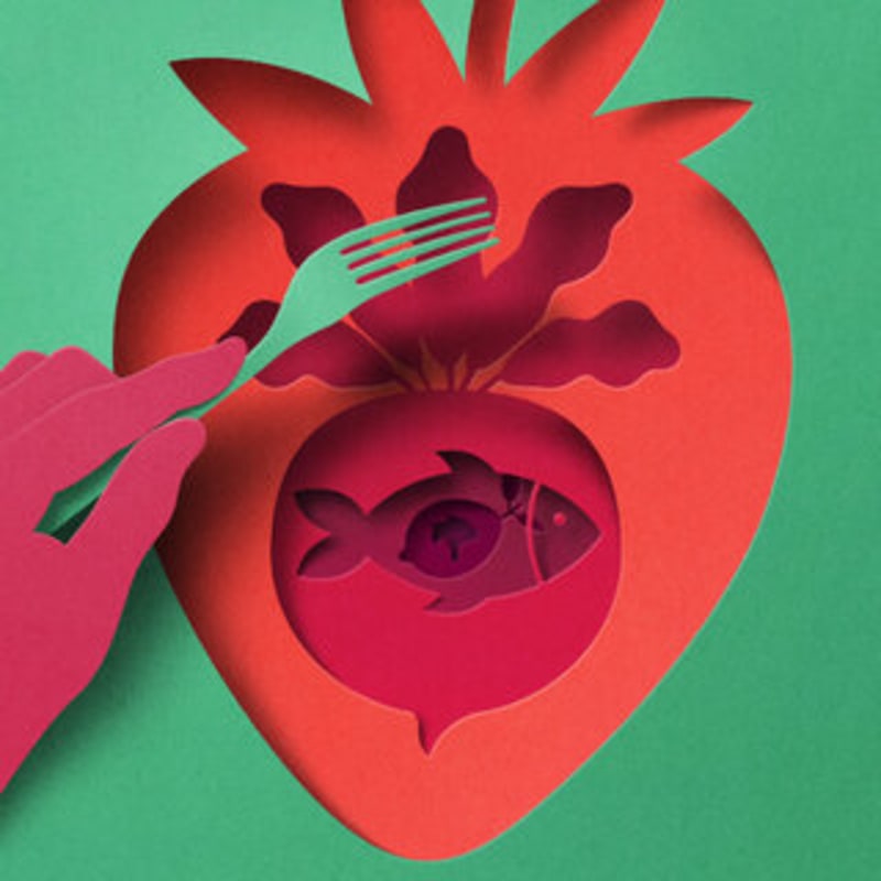 Your Brain's Best Friend: How Exercise Creates a Sharper, Healthier Mind - Image 5