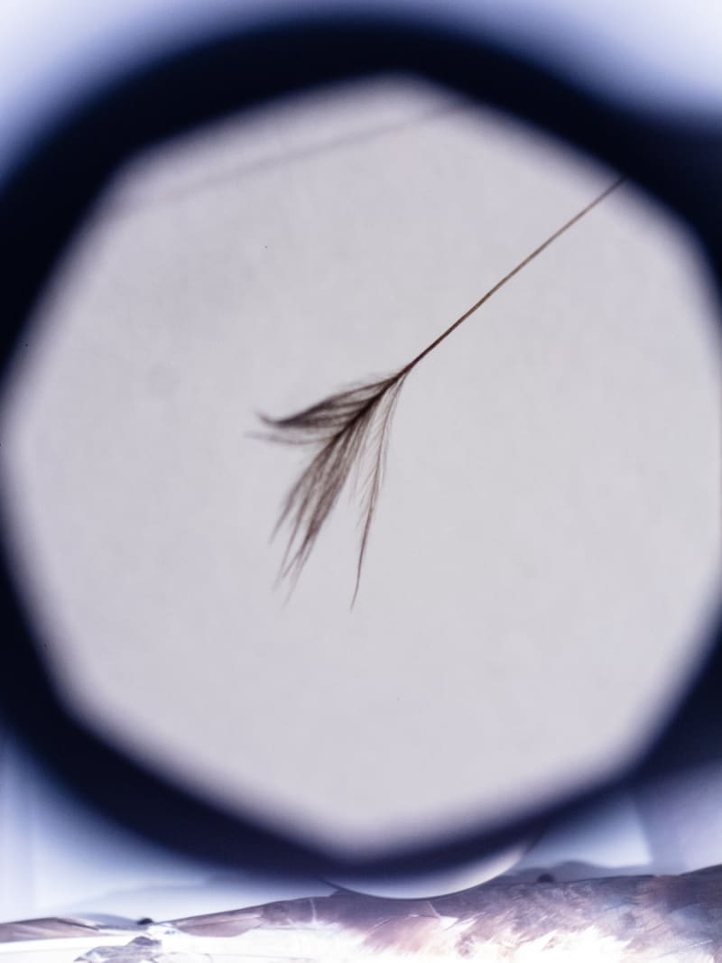 Tiny 'Super Feather' Could Revolutionize Drone Technology - Image 2