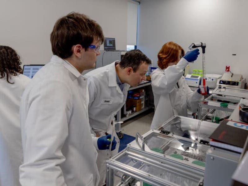 New Device Finds 582 Extra Eggs for Fertility Patients - Image 3