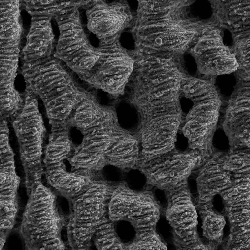 Scientists Create Unsinkable Metal Tubes for Ocean Energy - Image 4