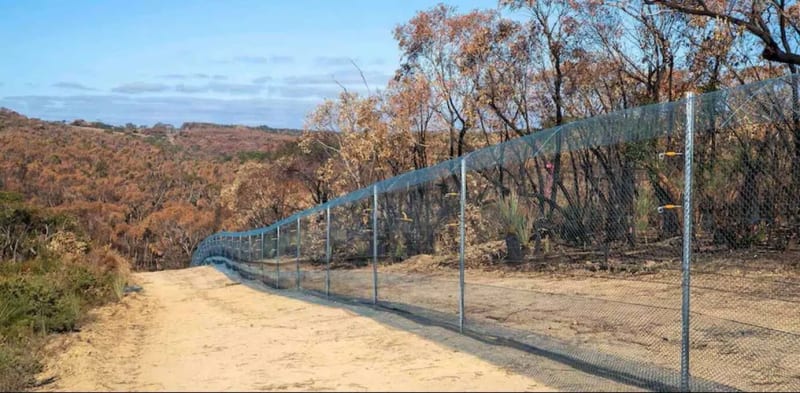Predator-Proof Fence Doubles Endangered Species in 5 Years - Image 2