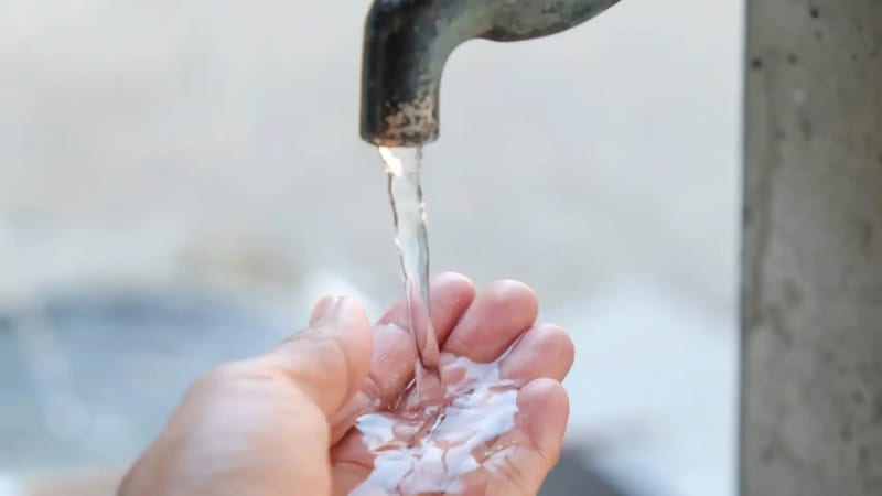 Finland Removes 99.7% of Antibiotics From Water With Bark - Image 2