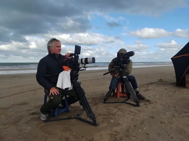 Documentary Saves Guitarfish From Argentina Fishing Contest - Image 2