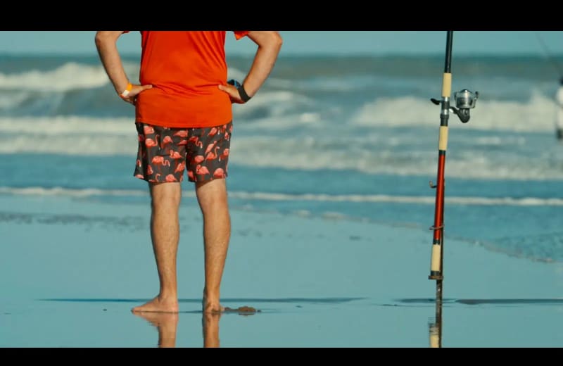 Documentary Saves Guitarfish From Argentina Fishing Contest